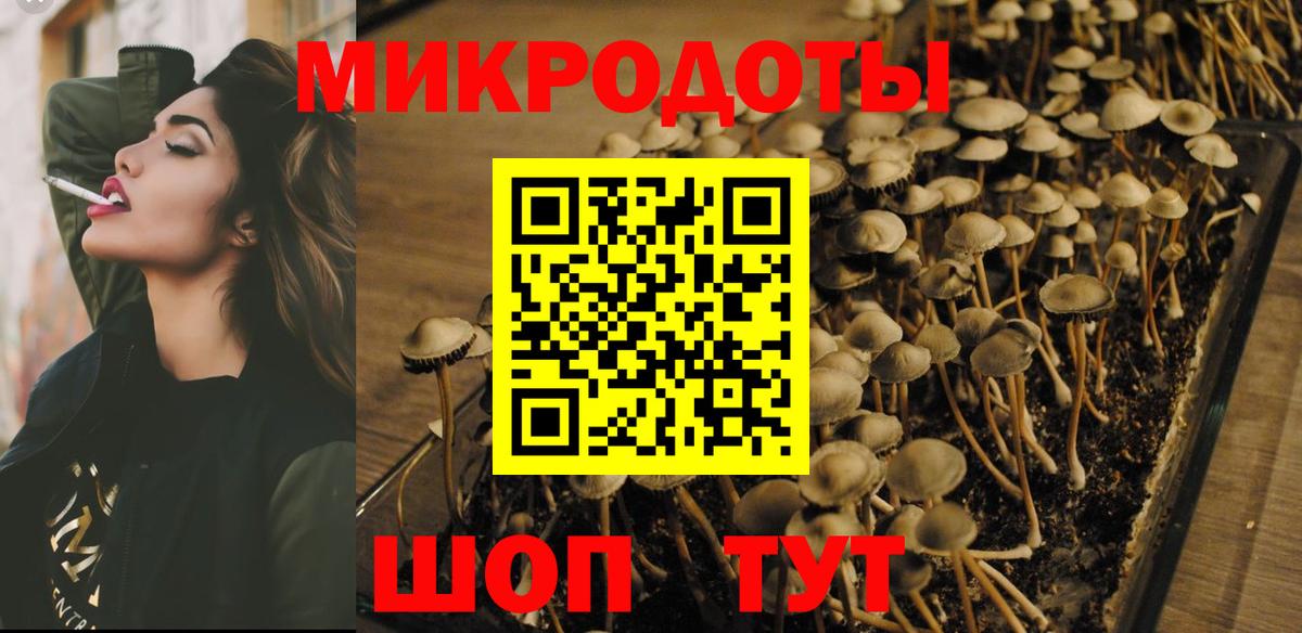 Ишим  Галлюциногенные грибы Psilocybine cubensis  что такое   Галлюциногенные грибы Magic Shrooms  Вход с VPN 